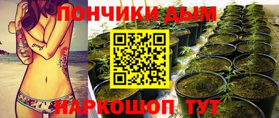 гидра Кингисепп