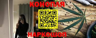 гидра Кингисепп