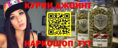 гидра Кингисепп