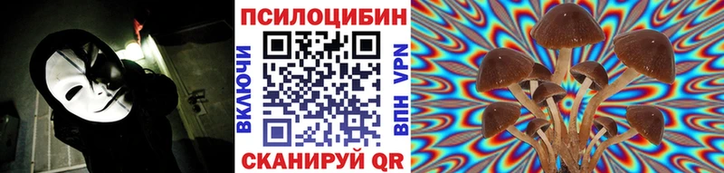 KRAKEN рабочий сайт  Коммунар  Псилоцибиновые грибы Psilocybine cubensis 