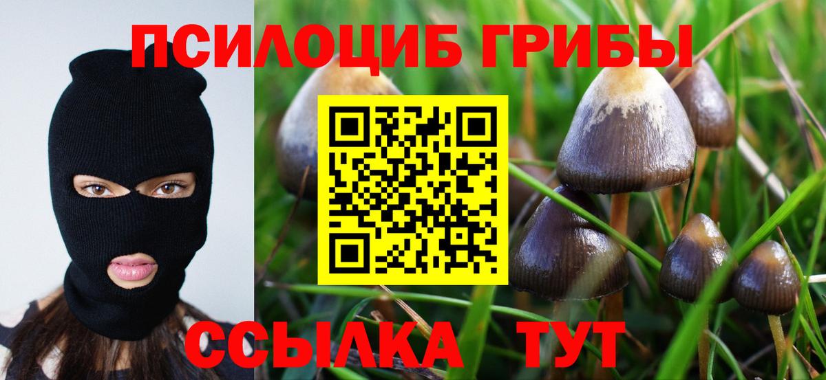 Коммунар  Галлюциногенные грибы MAGIC MUSHROOMS  Вход с VPN 