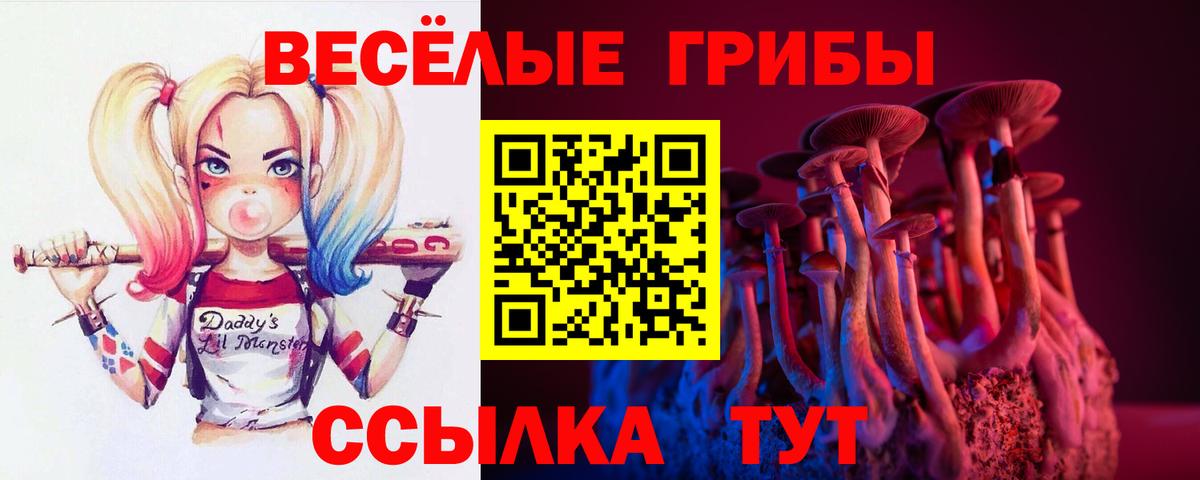 Псилоцибиновые грибы мицелий Коммунар